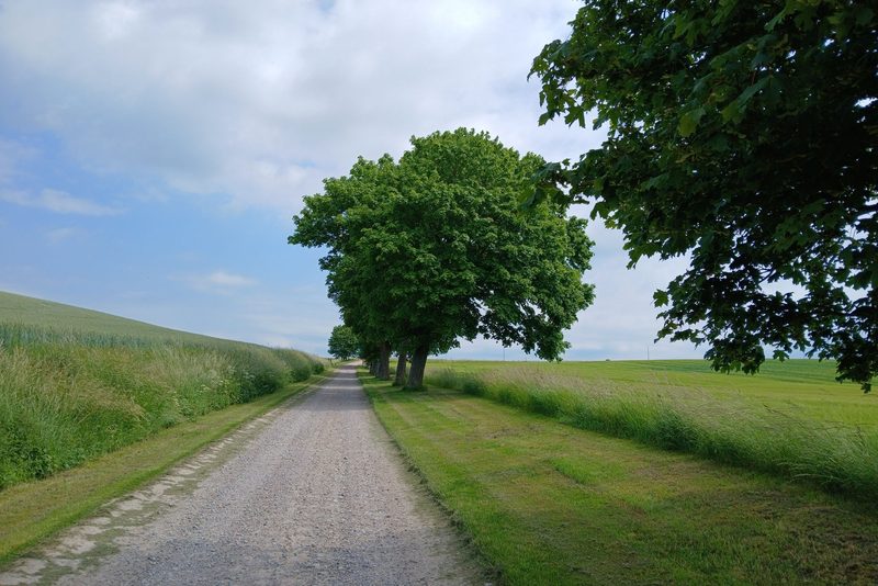 Příjezdová cesta z recyklátu ke stavbě – Jevíčko, Cesta 45 × 3,5 m, recyklát 20 cm + štěrk